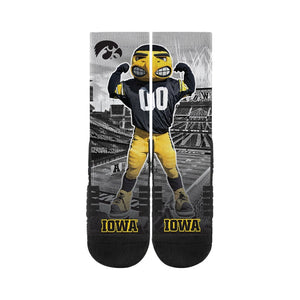 Iowa (text) Iowa Mascot with Stadium Background 